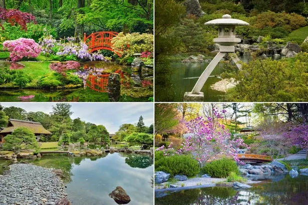 Japanischer traditioneller Garten
