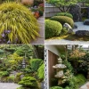 Kleine japanische Gartenpflanzen