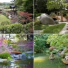 Landschaft japanischer Garten