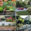 Moderne Gartenpflanzen Landschaftsgestaltung