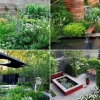 Pflanzen für einen modernen Garten